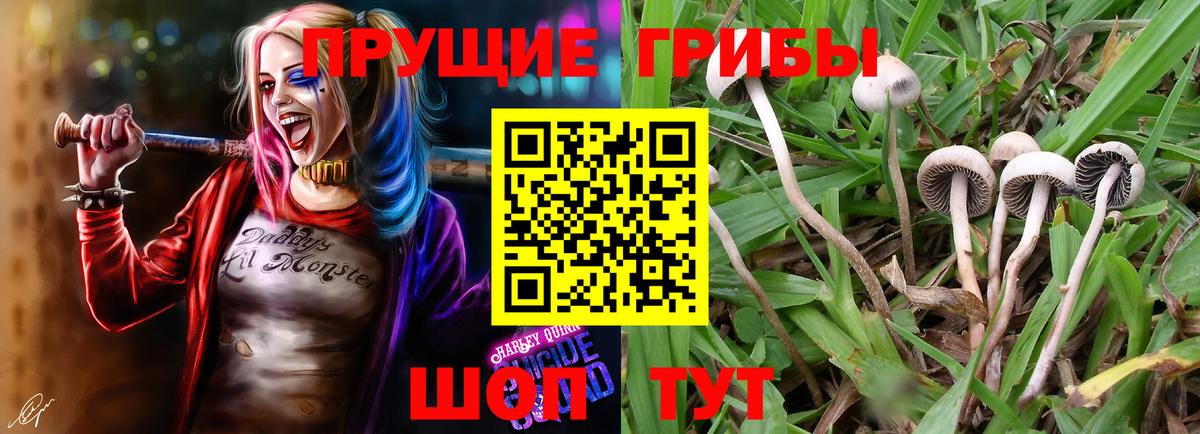 Жуковский  Псилоцибиновые грибы Magic Shrooms  Вход с VPN 